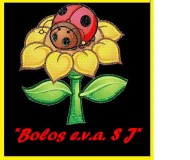 Loja de *Bolos EVA S J*